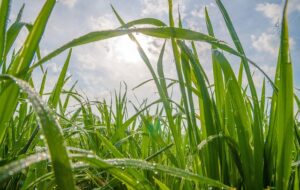 G4626548fe0340f1612163b4eb83d08b63f6ef149c988ad9cf3005a934dda2e82be9a0fcd5c448ad52b799c962ba25d41cc6273a47b65c26dc71f6638af3e549f 640