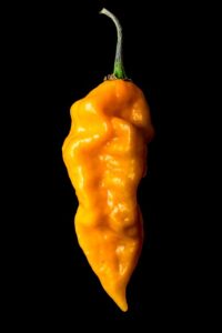 Image bodhi adventure.co.uk 1819 1746311051096