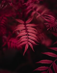 Image bodhi adventure.co.uk 1822 1746312567591