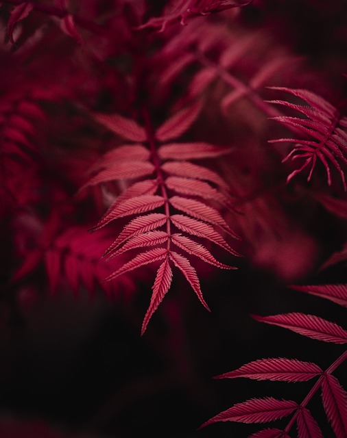 Cách tải Rikvip về iPhone và trải nghiệm game bài trực tuyến